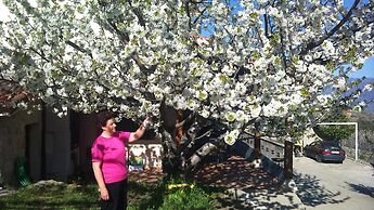 Casa Rural El Regajo Valle del Jerte