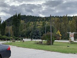 Greenview Motel and RV Park