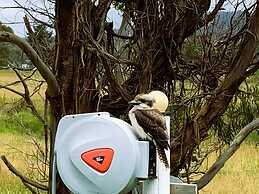 Pelican Point Tasmania