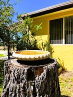 Pelican Point Tasmania