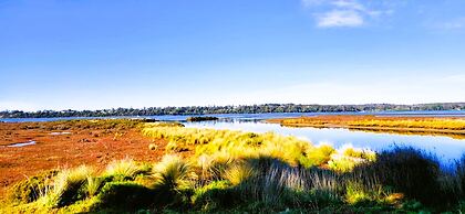 Pelican Point Tasmania