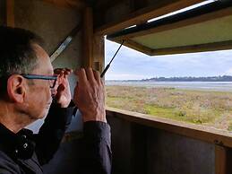 Pelican Point Tasmania