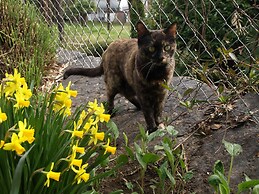 Charme Hotel Barbatè