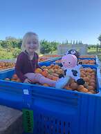 Gerald's Gift Guest House