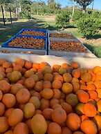 Gerald's Gift Guest House