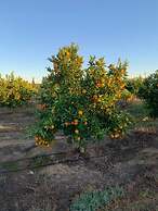 Gerald's Gift Guest House