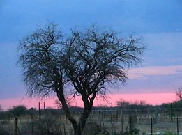 Eldorado Guest House & Camping