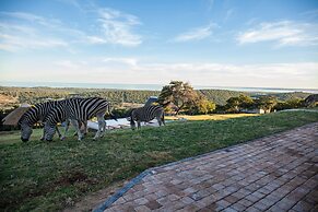 JBay Zebra Lodge