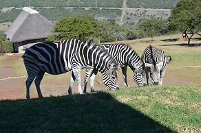 JBay Zebra Lodge