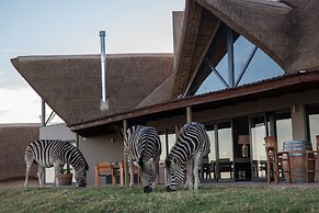 JBay Zebra Lodge