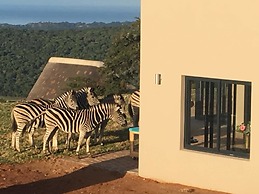 JBay Zebra Lodge