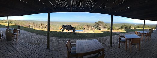 JBay Zebra Lodge