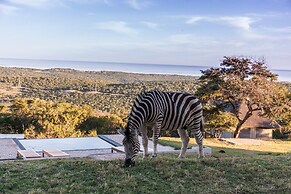 JBay Zebra Lodge
