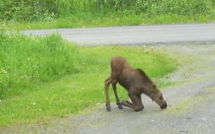 Whispering Winds Retreat B&B