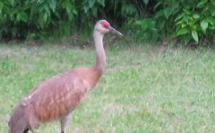 Whispering Winds Retreat B&B