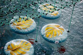 Kompleks Antałówka Termy & Med – POLSKIE TATRY S.A.