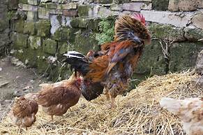 Relais Donna Lucrezia