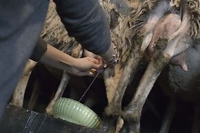 Relais Donna Lucrezia