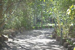 Andelomi Forest Lodge