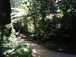 Andelomi Forest Lodge