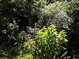 Andelomi Forest Lodge