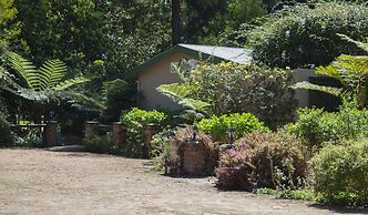 Andelomi Forest Lodge