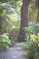 Andelomi Forest Lodge