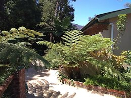 Andelomi Forest Lodge