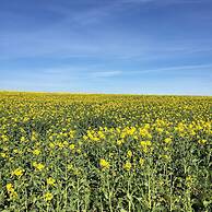 Hotell Vellingebacken