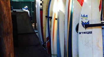 Coral Reef Surf Hostel