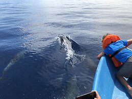 Hotel El Pequeño Gecko Verde