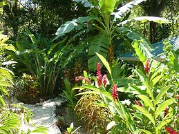 Hotel El Pequeño Gecko Verde