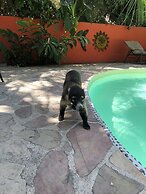 Hotel El Pequeño Gecko Verde