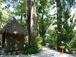 Hotel El Pequeño Gecko Verde