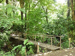 Hotel El Pequeño Gecko Verde