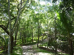 Hotel El Pequeño Gecko Verde