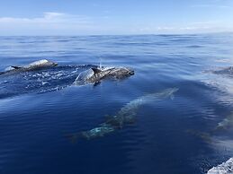 Hotel El Pequeño Gecko Verde