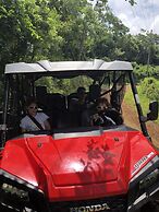 Hotel El Pequeño Gecko Verde