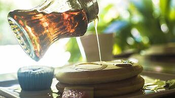 Hotel El Pequeño Gecko Verde