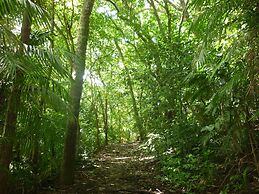 Hotel El Pequeño Gecko Verde