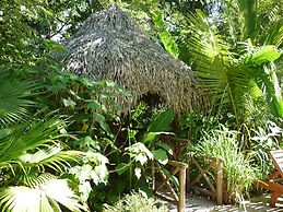 Hotel El Pequeño Gecko Verde
