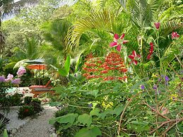 Hotel El Pequeño Gecko Verde