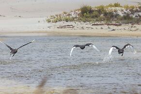 Hanson Bay Wildlife Sanctuary and Cabins