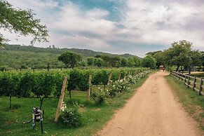 Bushman Rock Safaris