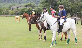 Bushman Rock Safaris