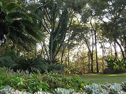 Bushman Rock Safaris