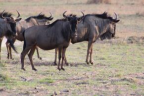 Bushman Rock Safaris