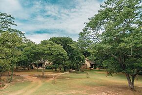 Bushman Rock Safaris