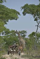 Bushman Rock Safaris