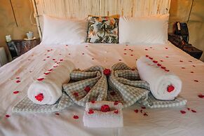 Bushman Rock Safaris